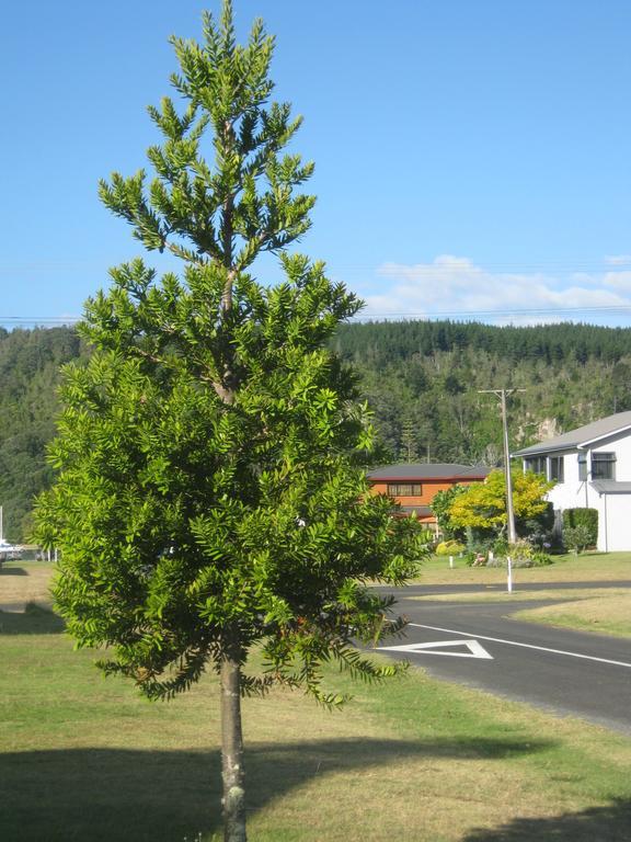 Appartement Addsbury House à Whangamata Extérieur photo